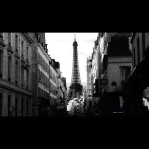 Meet your Posher, Travis